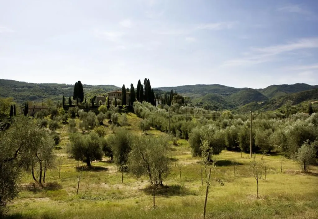 Villa Cerchi Pontassieve